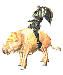Tamed Boar